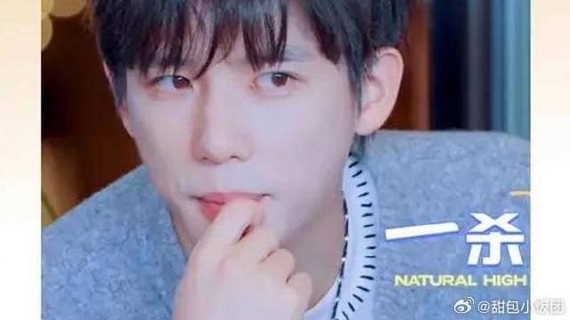 王安宇：请苍天辨忠奸！