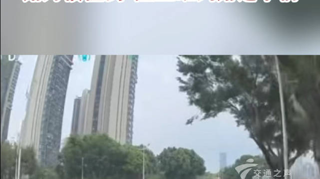 车辆转弯后撞入绿化带，路灯被撞倒，险些砸到路过车辆