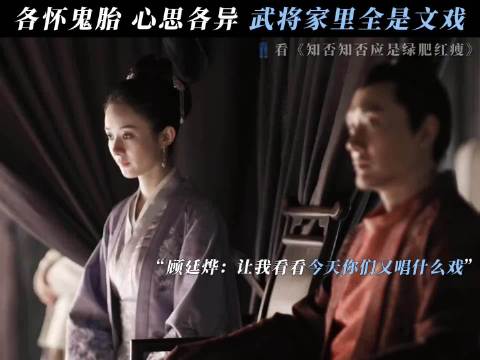 文官清流全是打戏，武将世家全是演技 知否知否应是绿肥红瘦