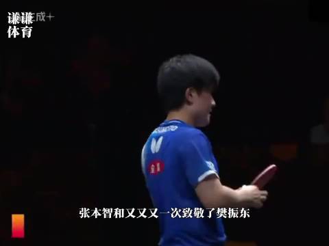 张本智和致敬樊振东引热议