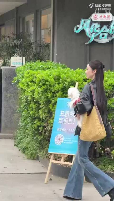 张艺凡国际小狗日抱狗上班满脸骄傲