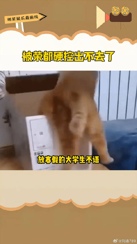 发明荣都地图的人真是个天才微博VC计划