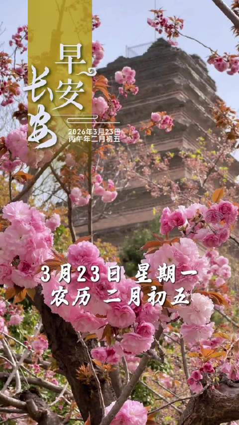 杜甫诗作描绘春日盛景