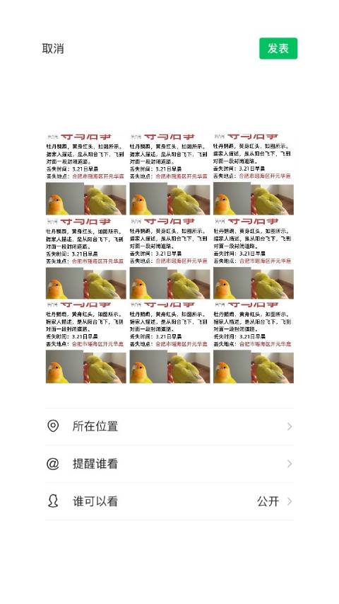 合肥开元华庭居民寻丢失鹦鹉