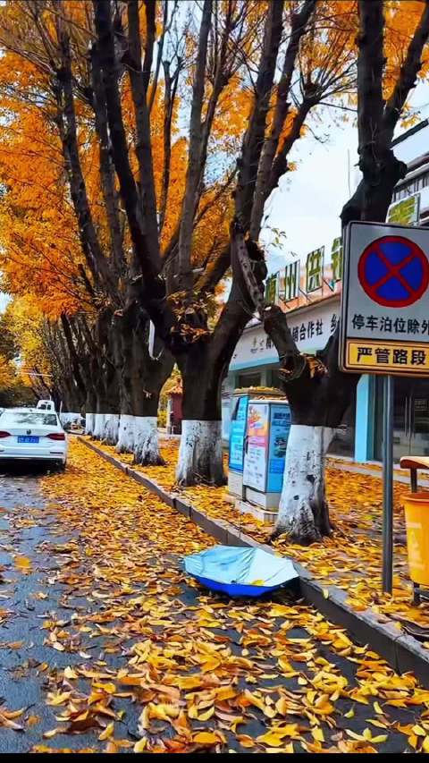 谢霆锋演唱会冬去春来，田曦薇要张凌赫道歉