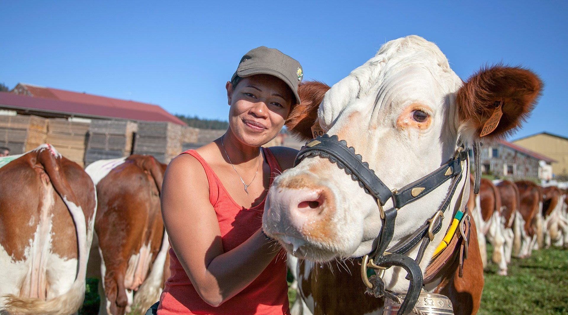 58分钟英字完整版④法国