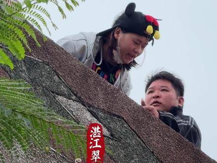 全红婵闪亮登场，就是你们心心念念的那位！