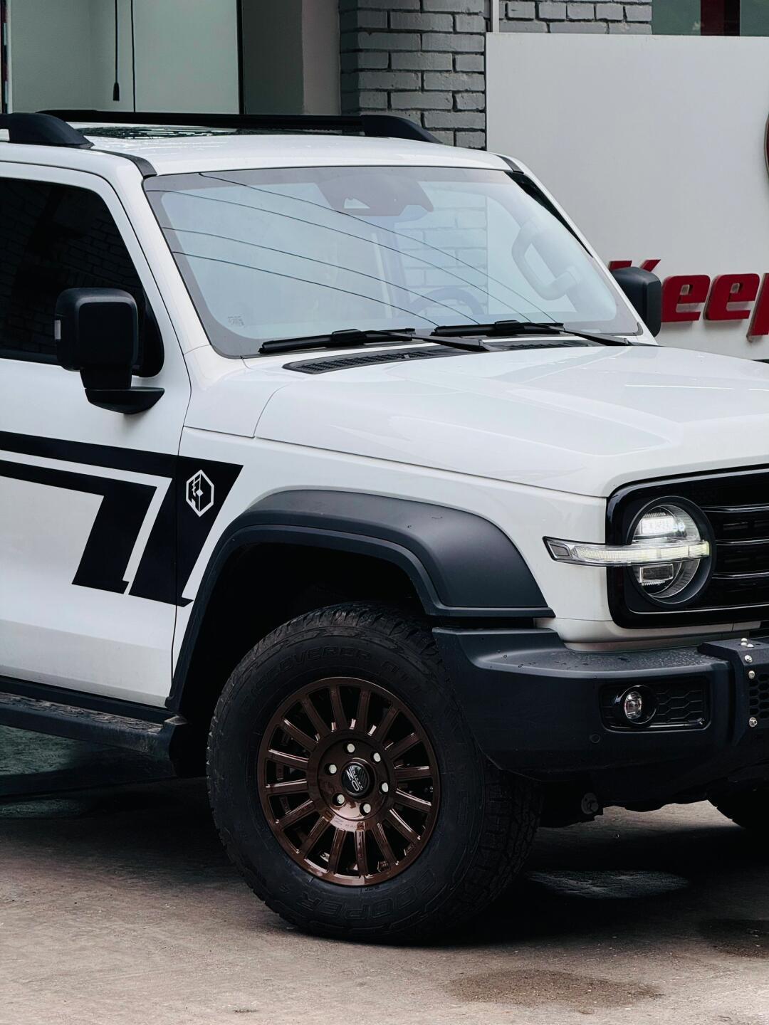 “特例独行”的白坦300_坦克300社区社区