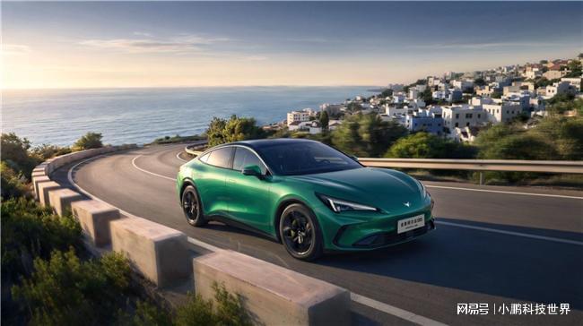 深耕海外终见果!极狐海外市场多点突破，全球化布局再进阶_订阅