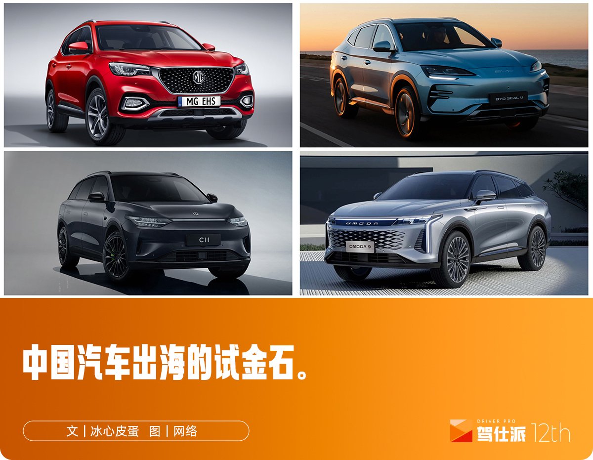 高额关税下,中国车企2025年啃下欧洲多少份额?