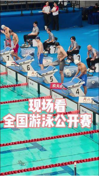 汪顺潘展乐携手新锐出征全国游泳公开赛