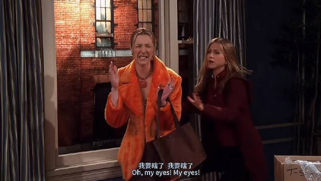 菲比发现钱德勒莫妮卡地下恋情 My eyes！my eyes！ 老友记
