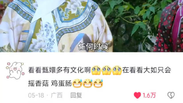 句句经典，受用一生 甄嬛传｜孙俪｜甄嬛