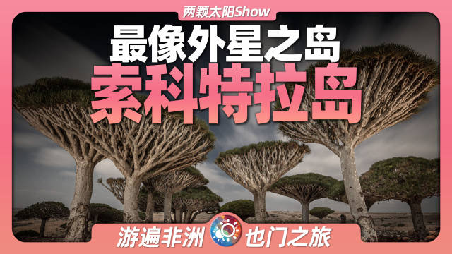 8分钟游遍索科特拉岛，探秘最像外星之岛