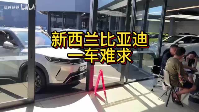新西兰比亚迪4S店现车售罄，新能源车全球热销