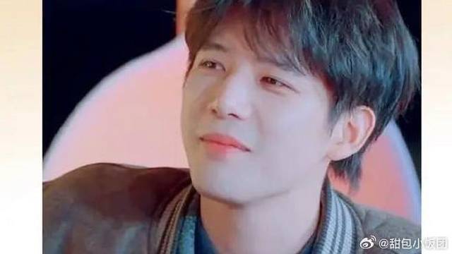 卧底的隐形外挂王安宇