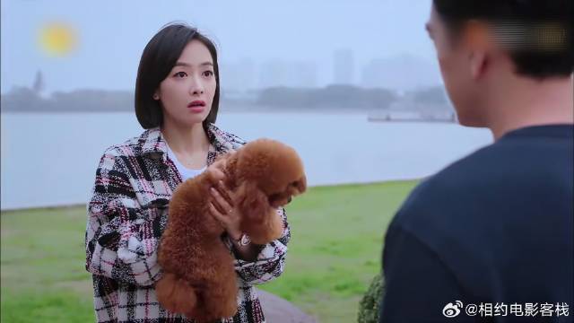 招桃花再次走丢，贺繁星疯狂解释