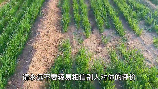 心浮气躁易招煞气，沉稳宁静方能聚福