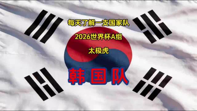 2026美加墨世界杯-韩国队