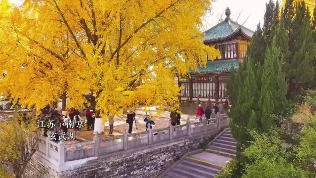 心理暗示难建真实自信，行动才是底气来源