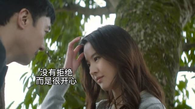 父亲爱上儿子的女友，受不了的儿子被送进精神病院 刘亦菲 黎明 夜孔雀