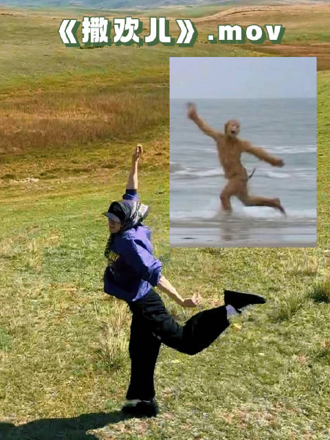 白敬亭成内娱首位且唯一三平台破万男主，四部一番剧热度破万