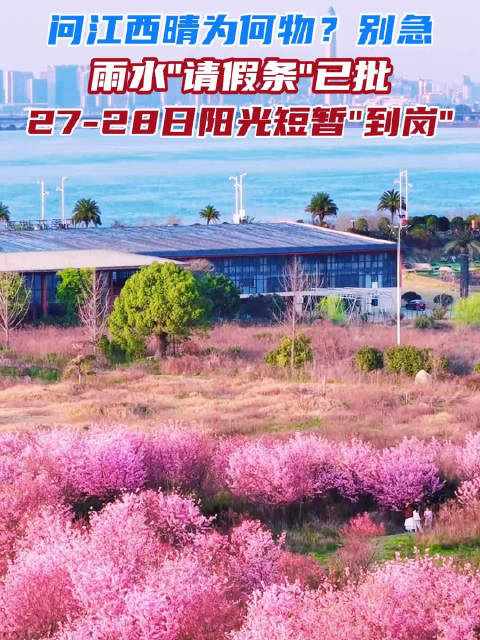 快乐是限定的，29号“雨神”可能又要回来“卷”了，大家且晒且珍惜！