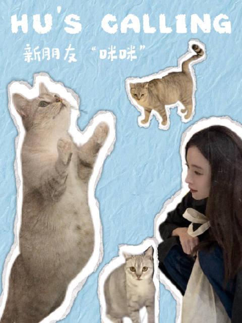 介绍一下@胡冰卿 的新朋友“咪咪” 点击视频听取咪声一片