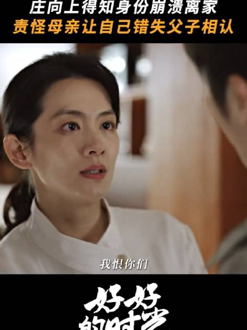 不是不爱，是一时不知道怎么面对， 好好的时光 梅婷 田雨 陈昊宇