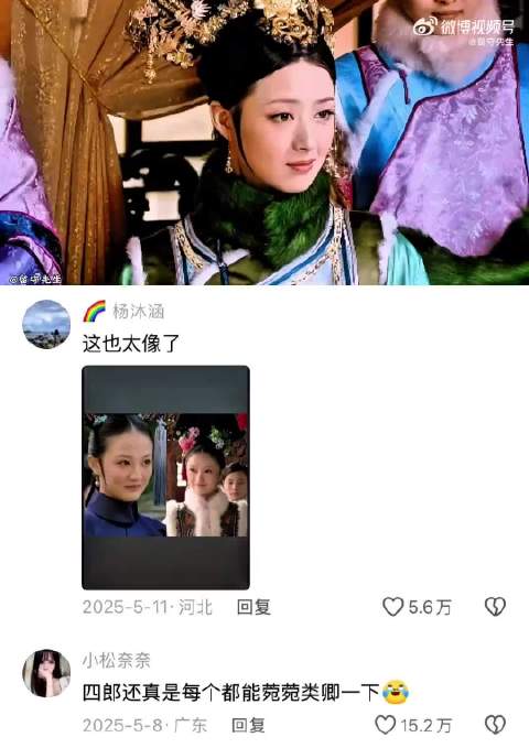 “甄嬛传就是一个巨大的替身文学”