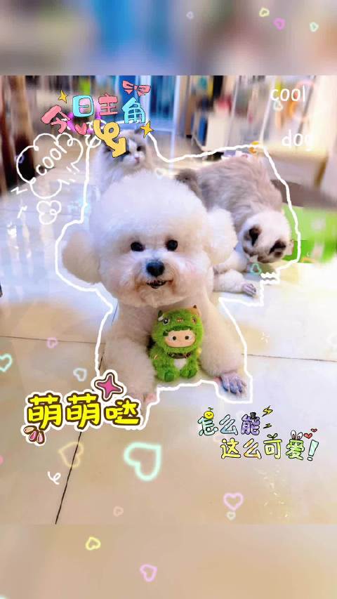 看看可爱的小宝贝们