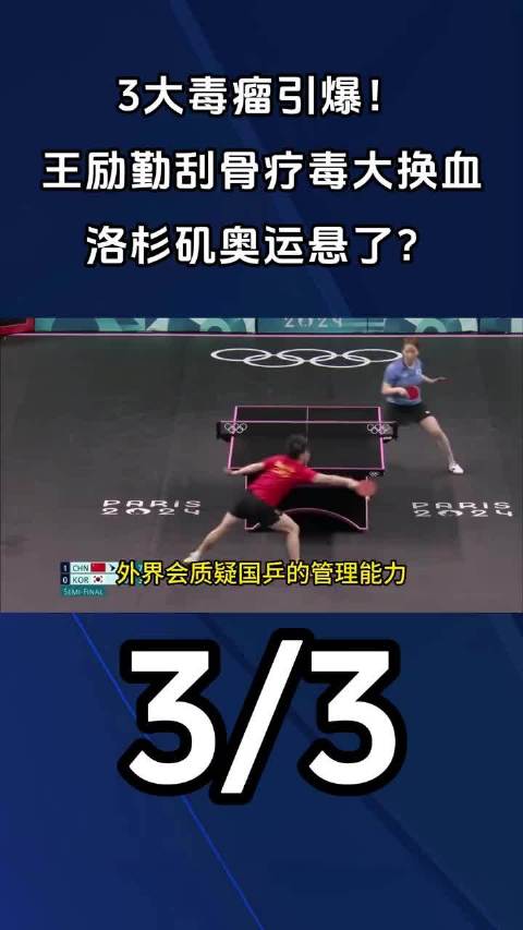 王励勤谈国乒整顿：选拔透明利益合理管理饭圈