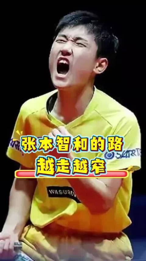 张本智和的路，越走越窄 张本智和乒乓球