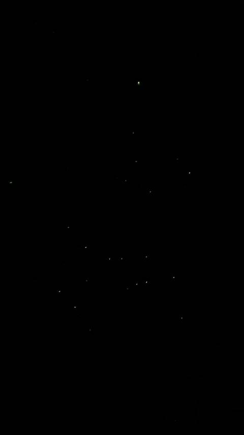 萤火虫真的太神奇了！