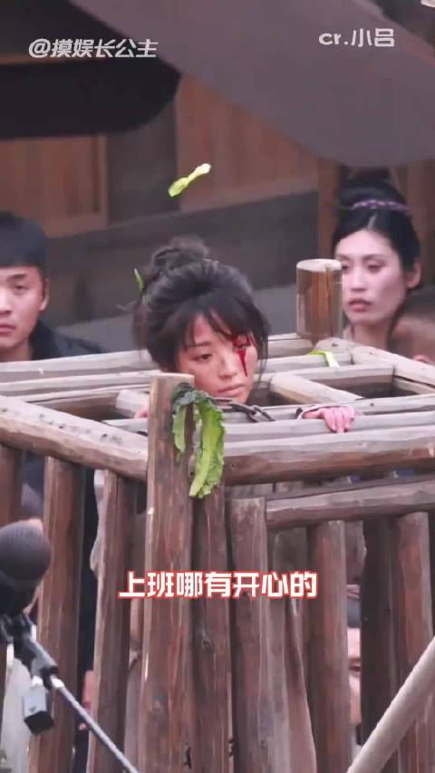 张凌赫孟子义王鹤棣田曦薇新剧逐玉开机