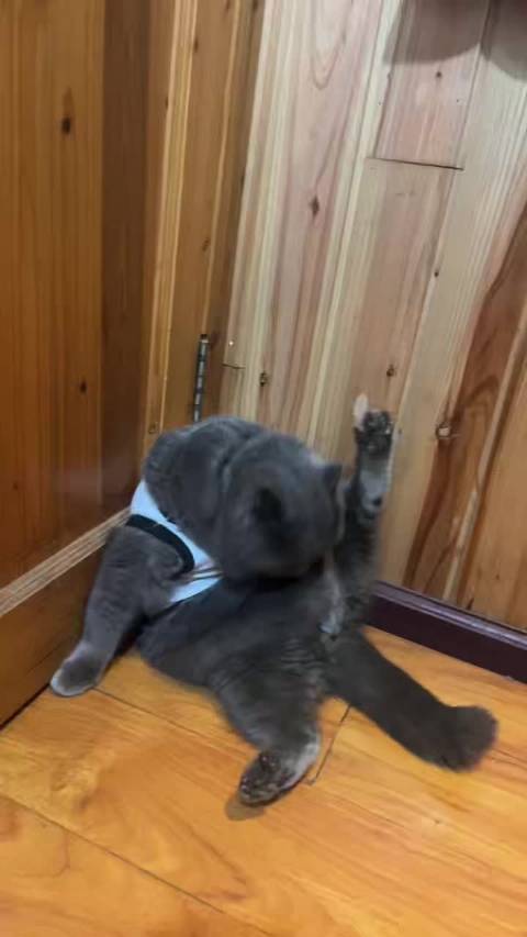 韩庚粉丝广州见面会喊话求翻牌