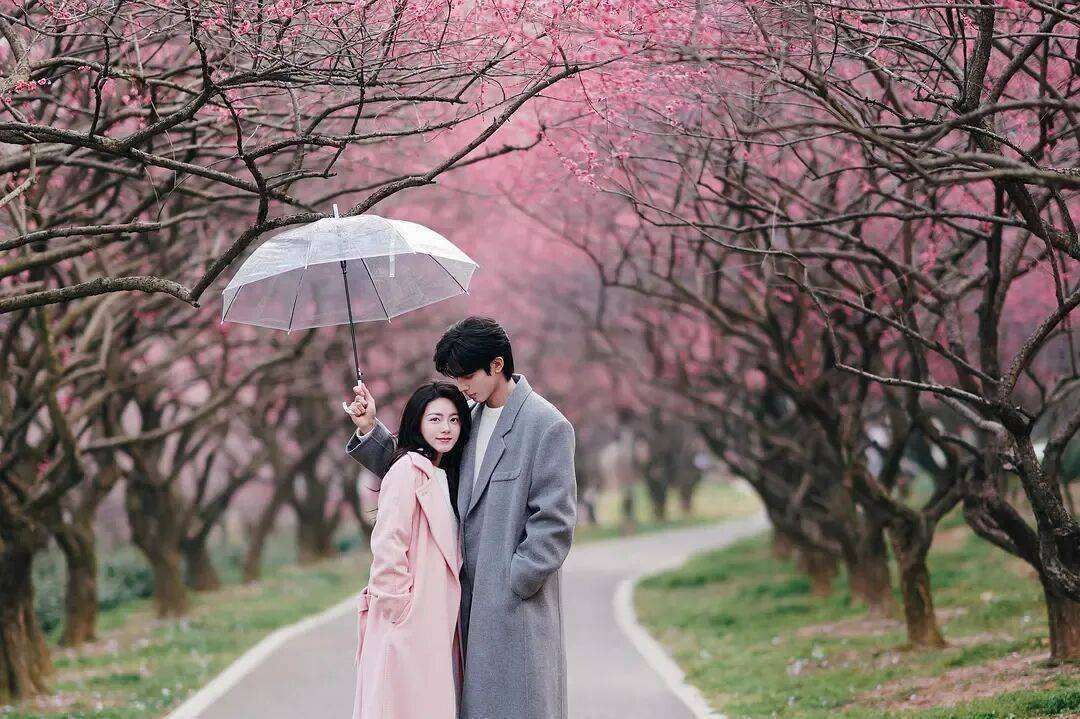 重回大众视线的马思纯，又让人看不懂了