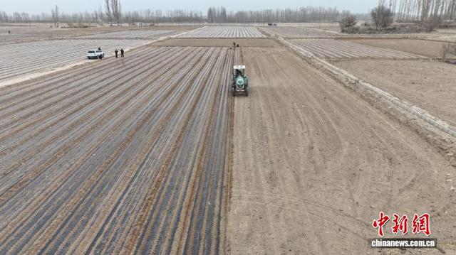 图为临泽县鸭暖镇曹庄村利用覆膜播种一体机进行孜然播种作业。 临泽县融媒体中心供图