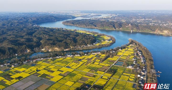 【赴春之约】三载寒暑，我用镜头见证了白麟洲的“苏醒”