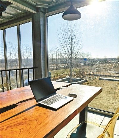 “假装上班公司”悄然兴起 北青报记者实地调查:这里没有假装的大家都在认真工作