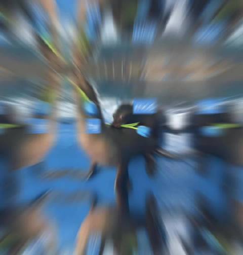 寒云发文称只剩自己一个海狮在想念