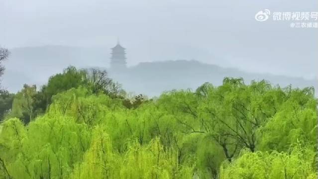 烟雨西湖成水墨画卷，成毅献唱我的祖国这么美