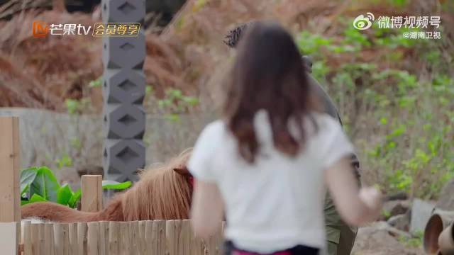 两位跳水女宝的感情也太好了！一声宝宝满是宠溺，神仙姐妹情谁不爱