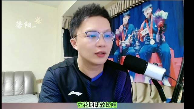 孙颖莎连续200周霸榜世界第一，日本选手五代更迭难撼其位