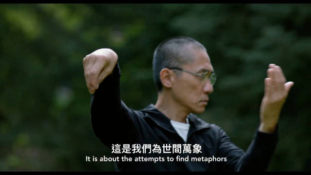 梁朝伟新作《你是不会当树吗》台湾上映预告