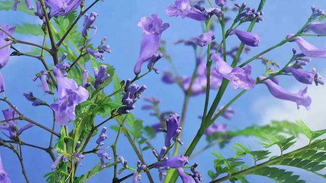 警惕猝死高危时段，运动中夜间清晨情绪波动最危险