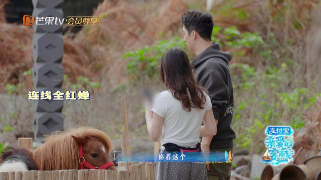 张家齐视频连线全红婵分享客栈日常