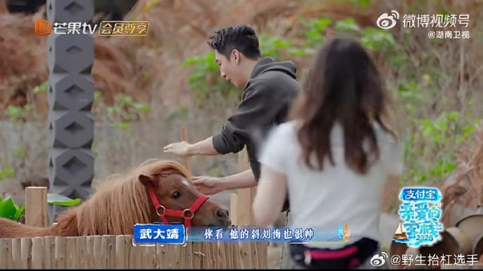 全红婵被张家齐连线叫醒，迷糊回应“宝宝”引爆全网