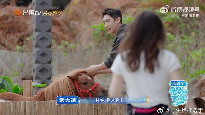 《亲爱的客栈》节目里，张家齐具体是怎么连线没睡醒的全红婵的？