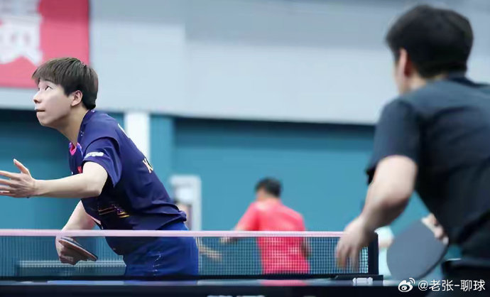 目前国乒男团中，除了向鹏还有哪些选手已确定入选？